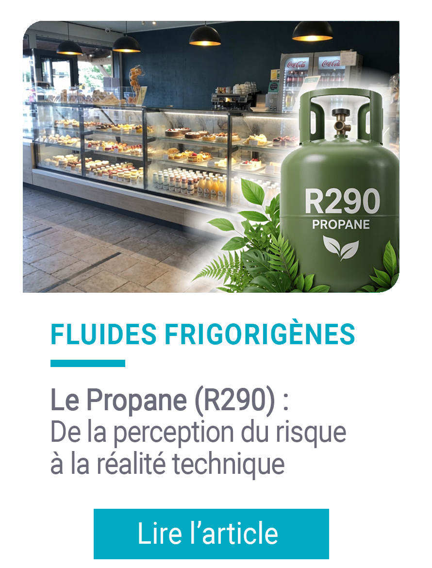 Propane R290