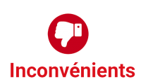 INCONVENIENTS copie