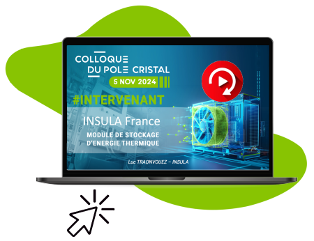 insula
