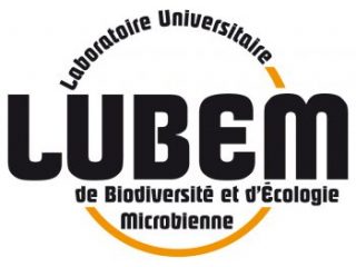 logo-LUBEM-e1502867456938
